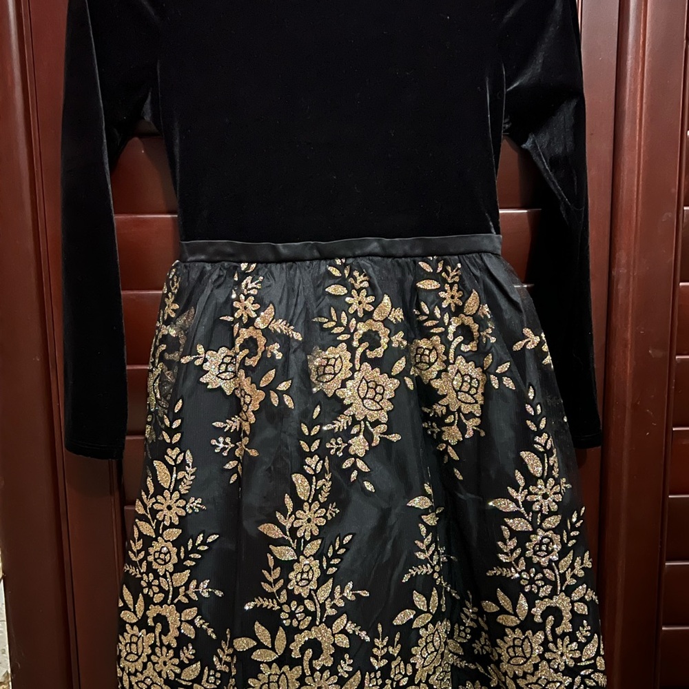 Rare Editions Black Velvet Dress with Gold Floral Skirt